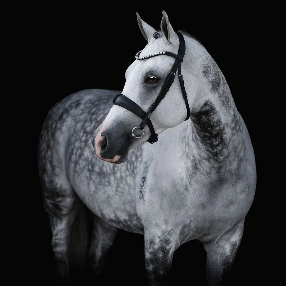 Bride 'Abigail' - Noir