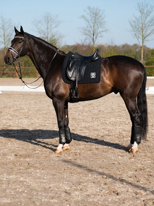 Protections Premium PS of Sweden - Noir