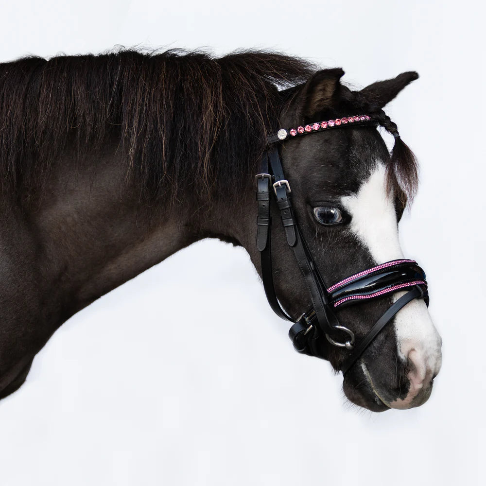 Bride Poney 'Fairyfloss' - Noir