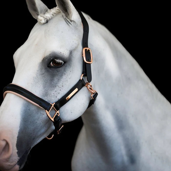 'Hollywood' Halter