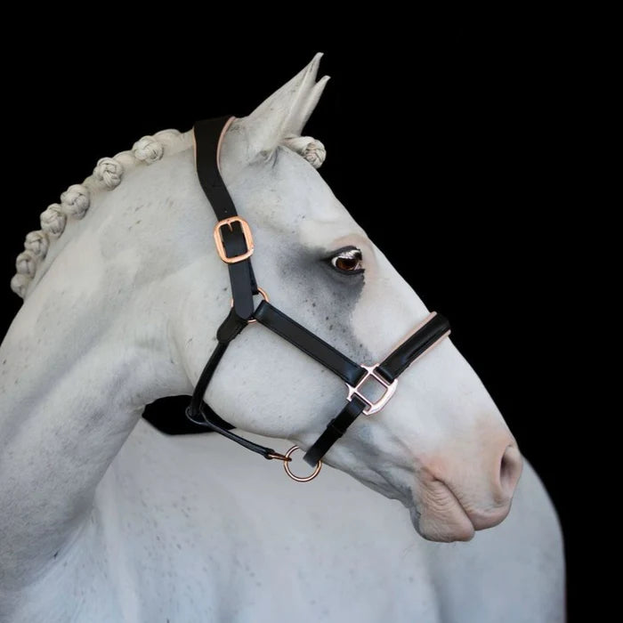 'Hollywood' Halter
