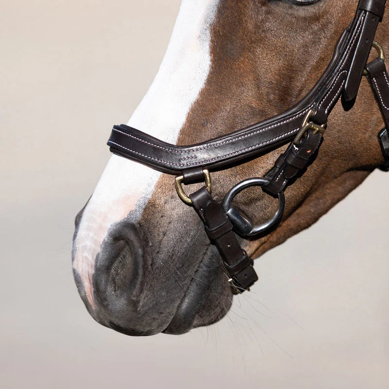 Bride Poney 'Amber' - Brun