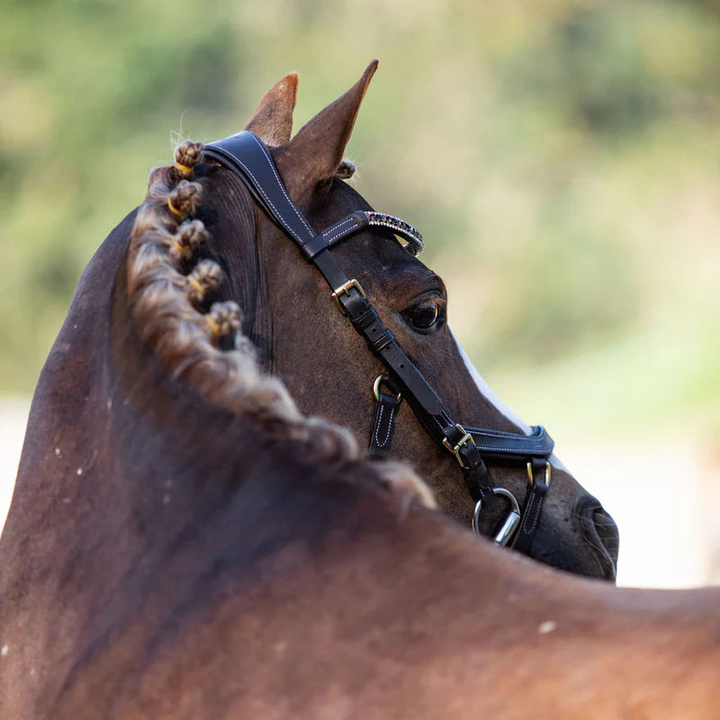Bride Poney 'Amber' - Brun