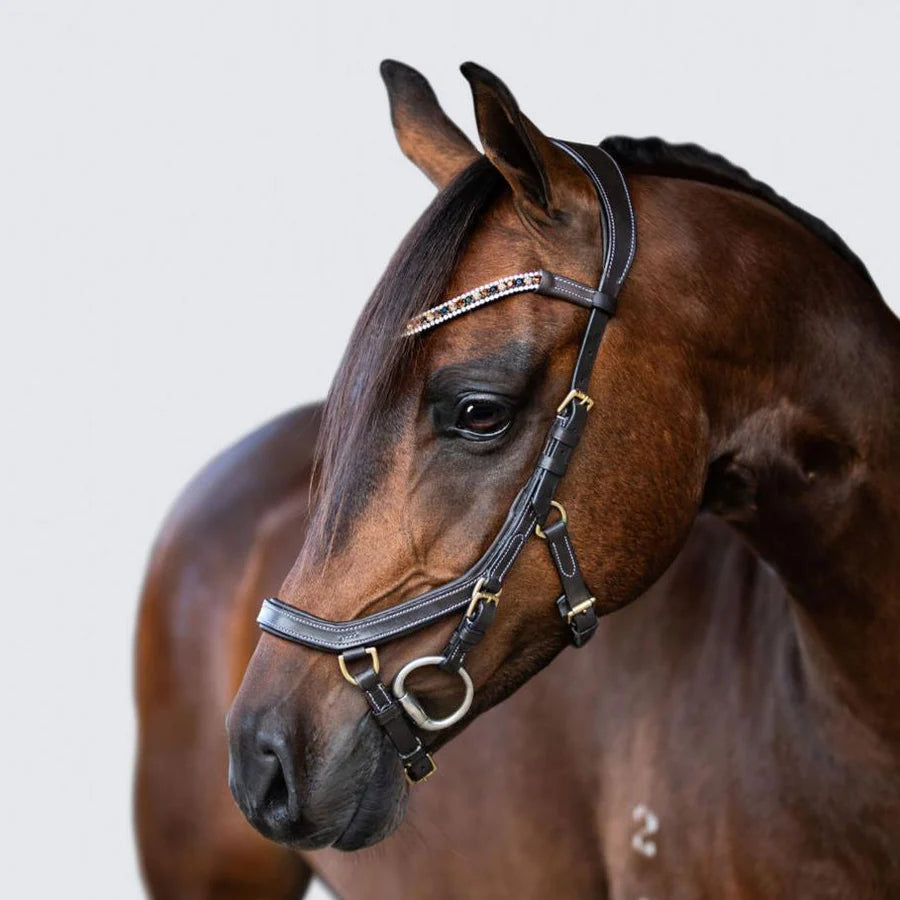 Bride Poney 'Amber' - Brun