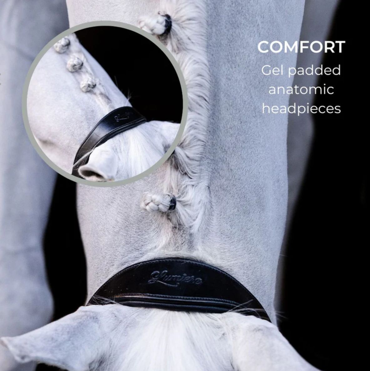 Licou 'Alizee' - Noir