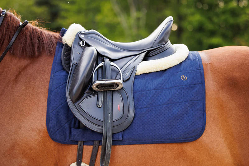 Dressage 'Perfeq' - Navy and gray