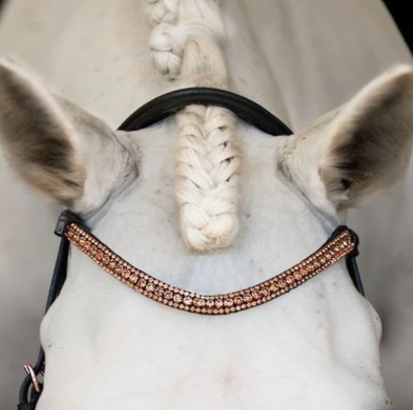 Bride Aria Poney - Noir