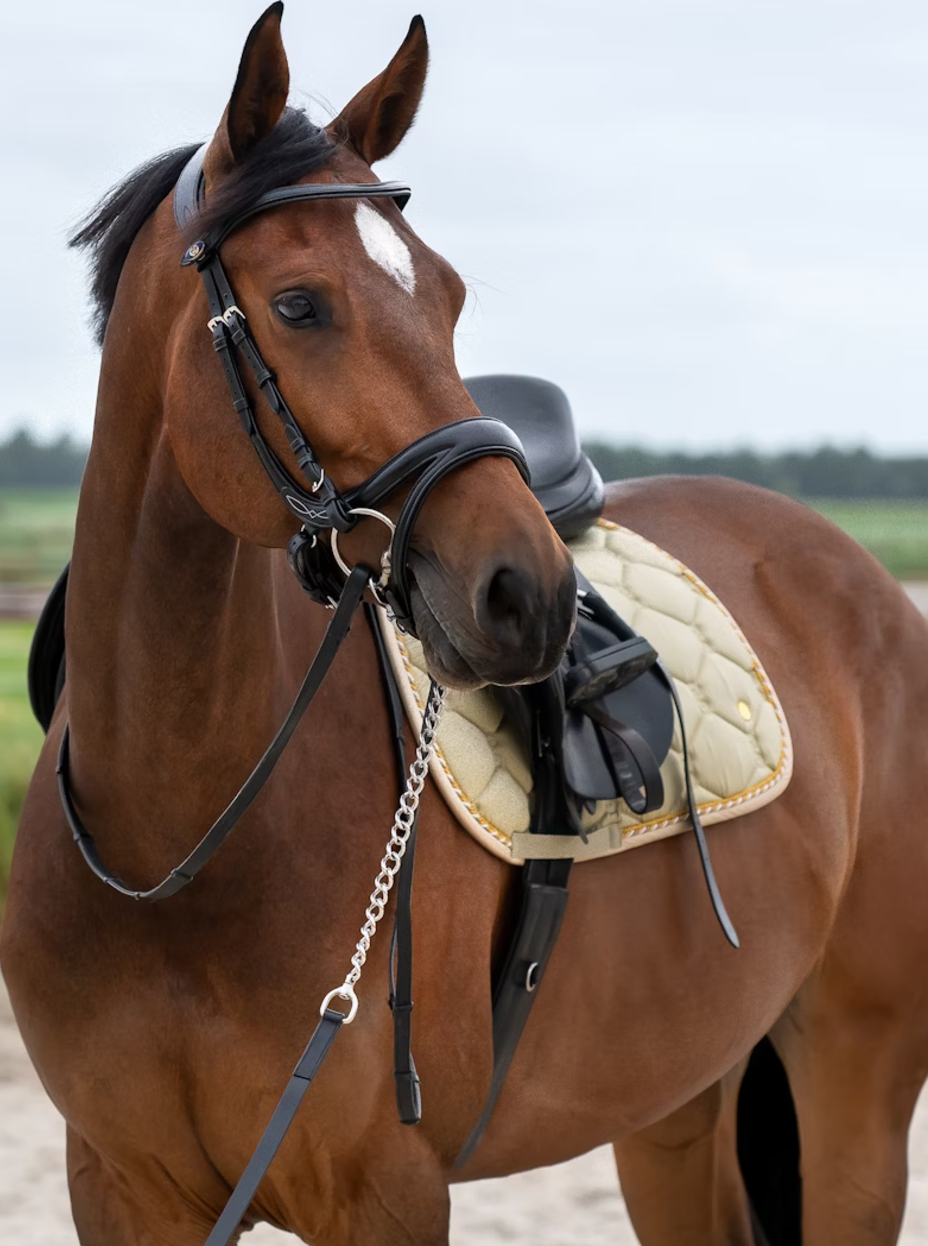 Jump 'Signature' - Pistachio