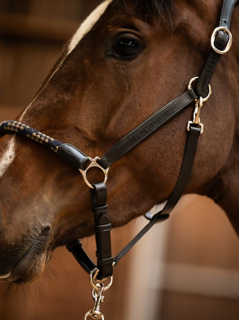 Licou 'Palermo' - Bleu/Noir