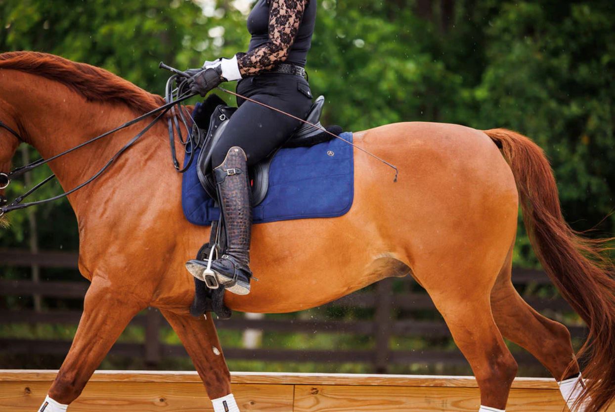 Dressage 'Perfeq' - Marine et gris