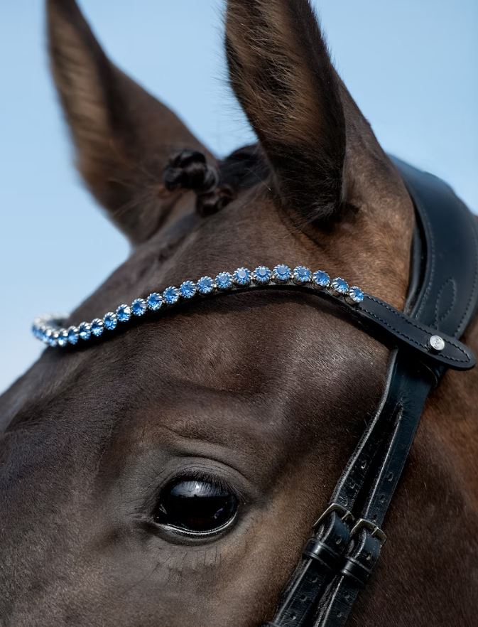 Frontal PS - Saphire