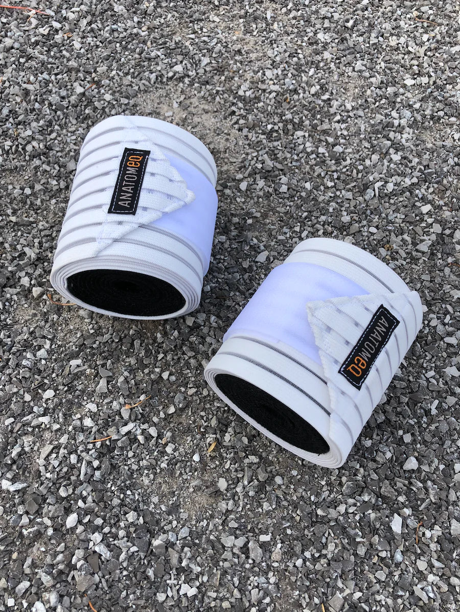 Anatomeq Combi Support