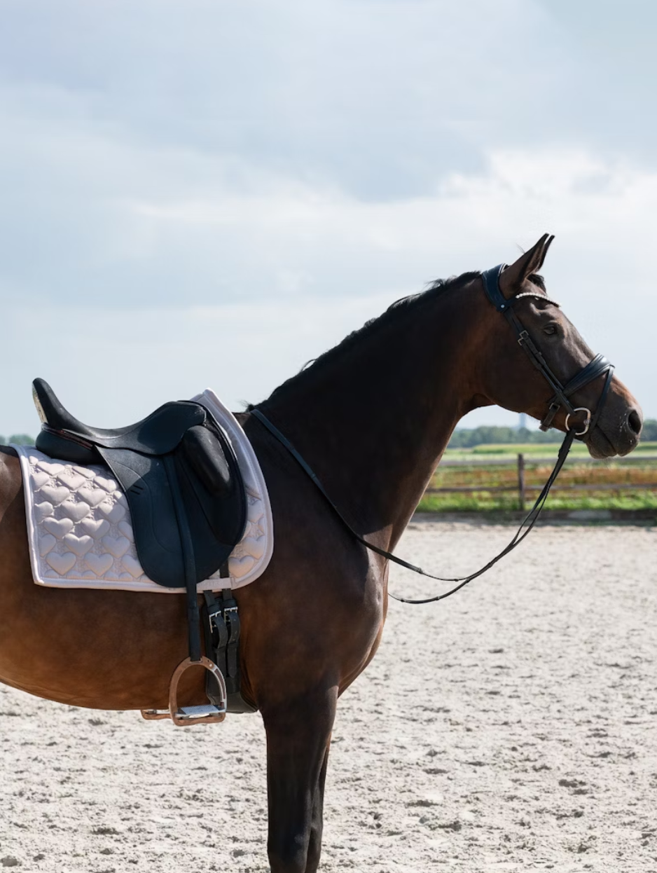 Dressage 'Heart' - Taupe