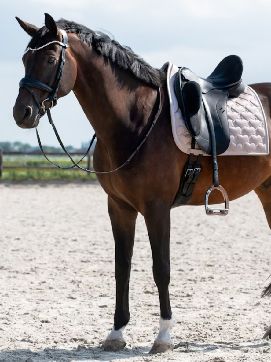 Dressage 'Heart' - Taupe