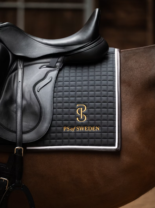 Mors De Dressage Incurvé à Bague Lâche – Équitation, Sans Marque