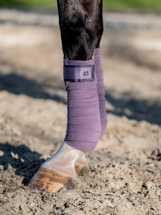 Polo 'Signature' - Purple