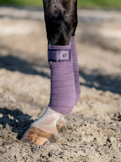 Polo 'Signature' - Purple