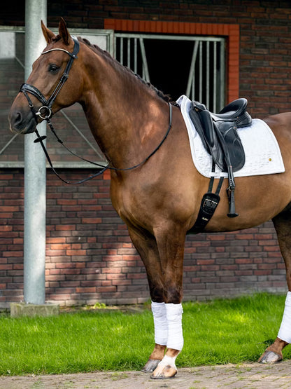 Dressage Dinja x PS - Blanc