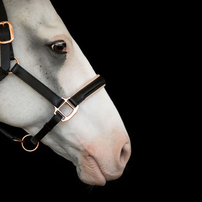 'Hollywood' Halter