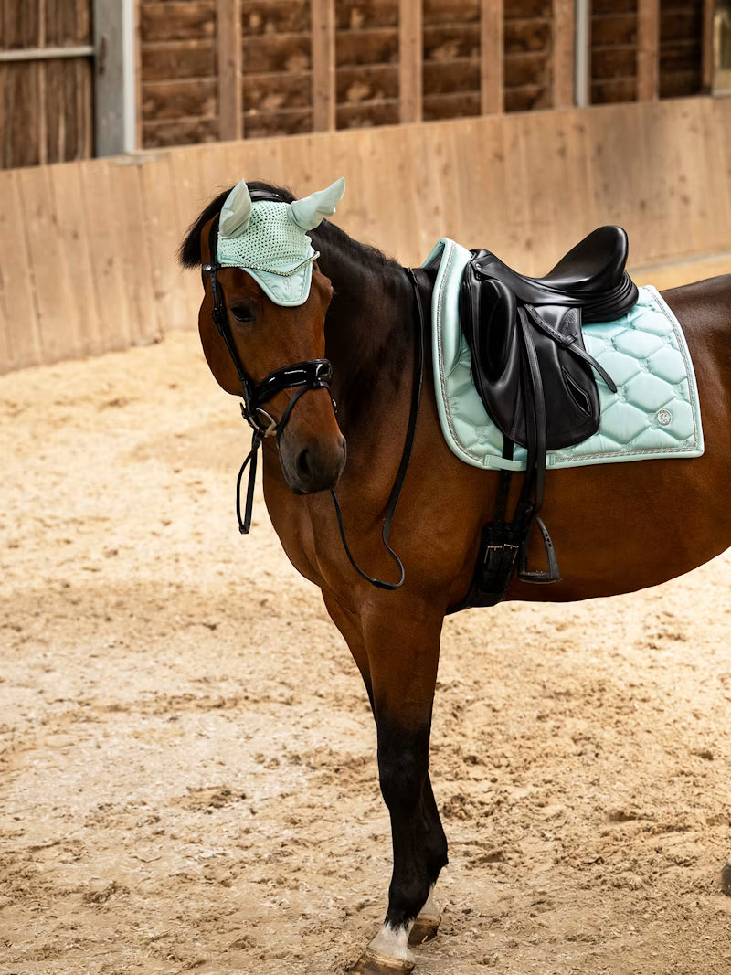Dressage Signature - ''Artic Aqua''