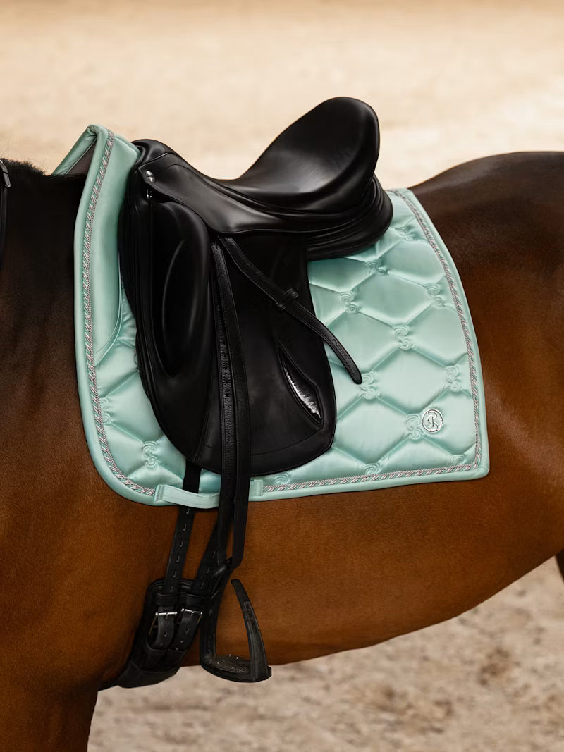 Dressage Signature - ''Artic Aqua''