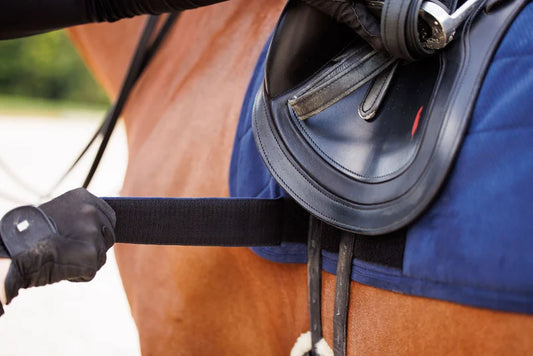 Dressage 'Perfeq' - Navy and gray