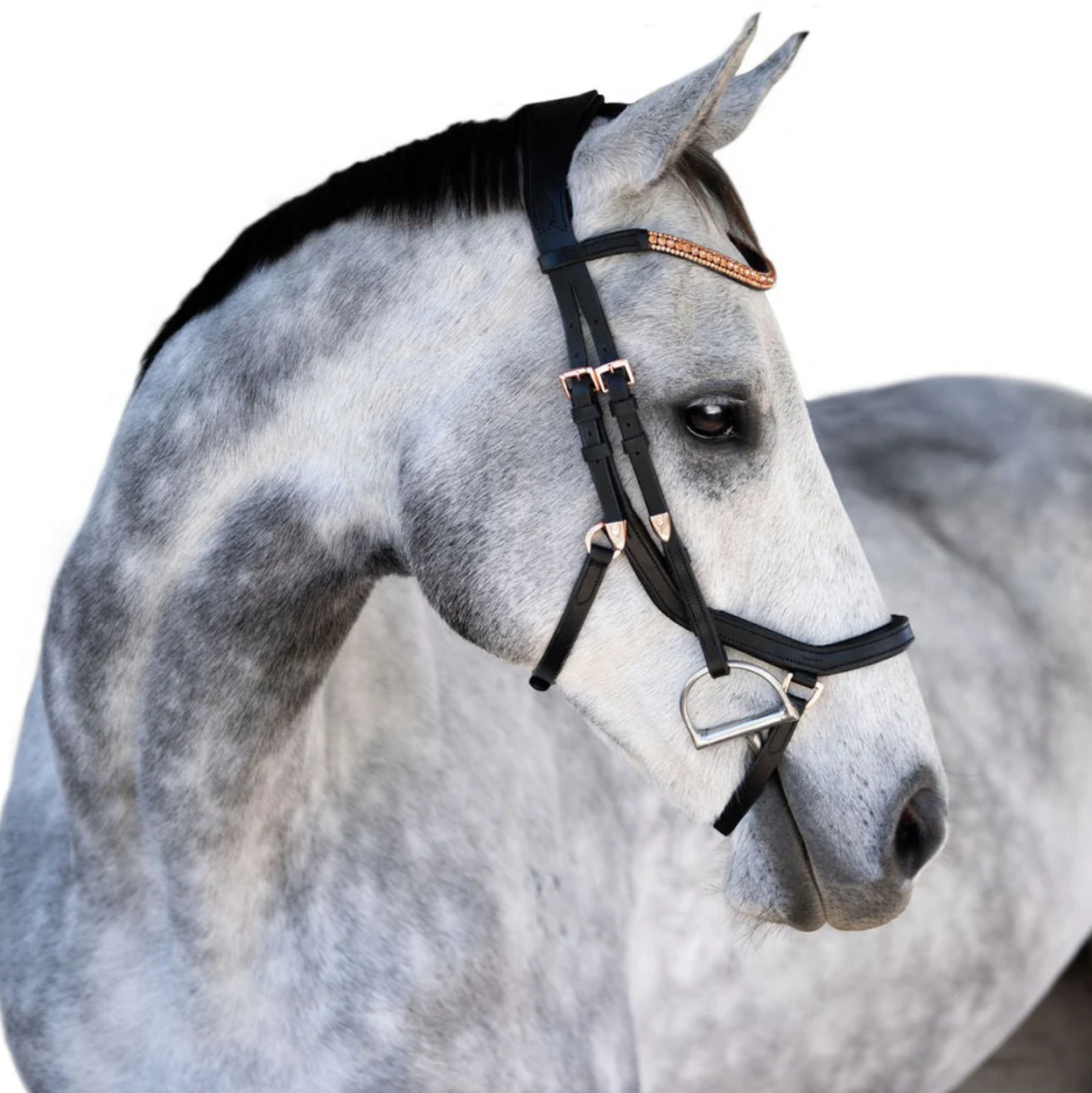 Aria Pony Bridle - Black