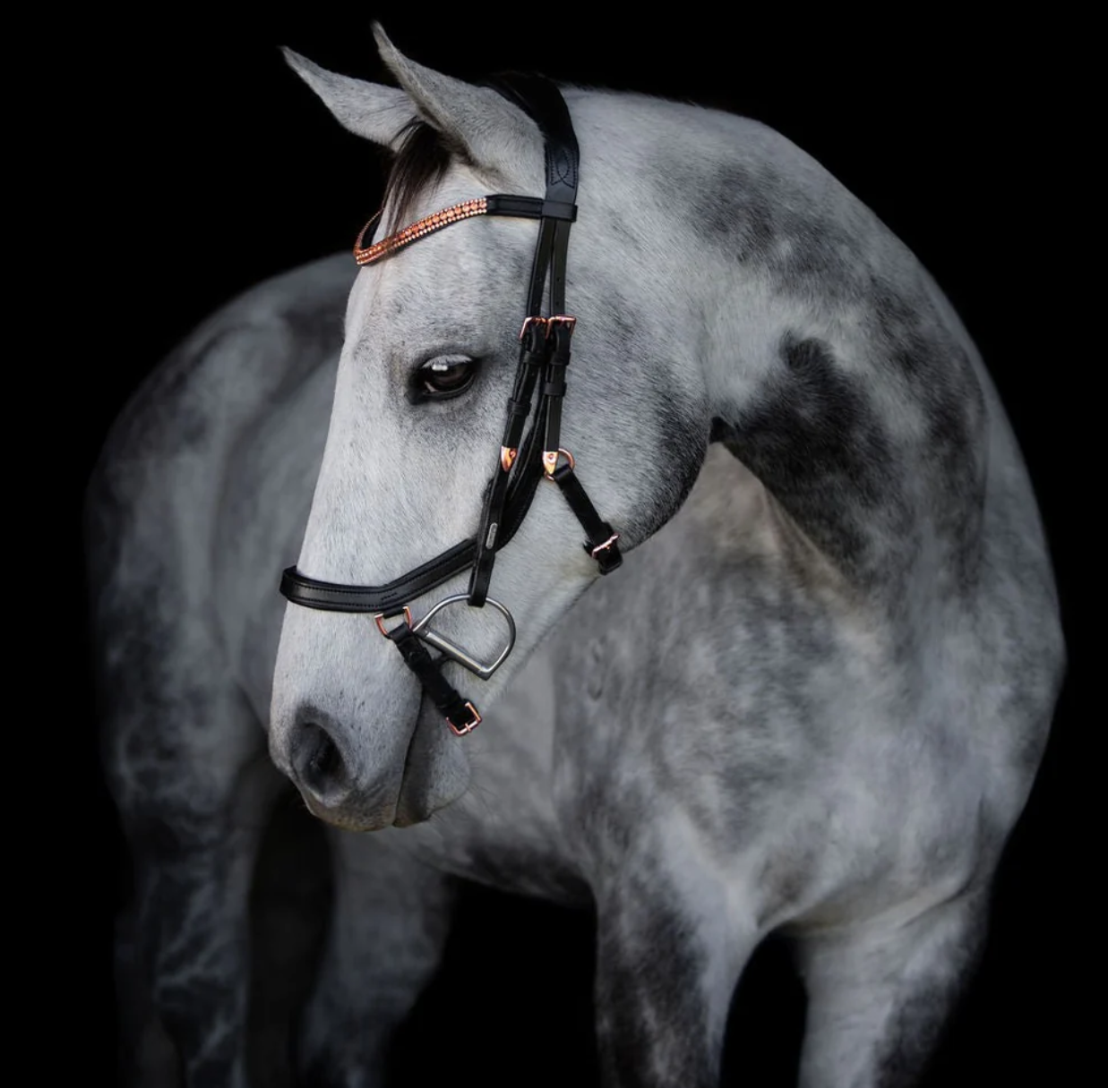 Aria Pony Bridle - Black