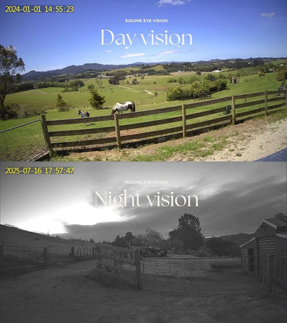 Caméra ''Equine Eye'' à la maison
