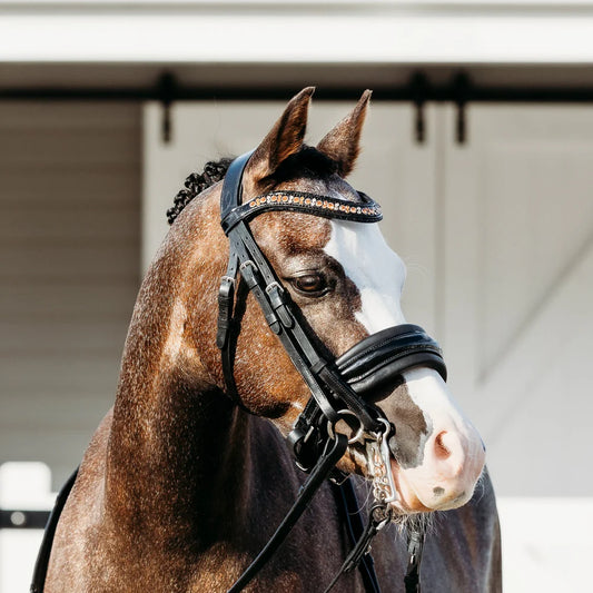 'Ariana' Pony Bridle - Black