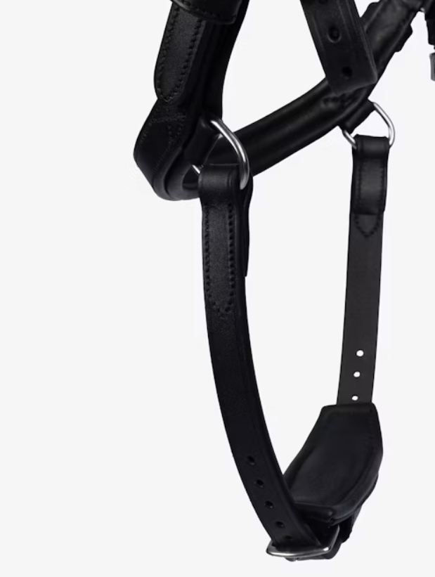 'King Edward' Bridle - Black