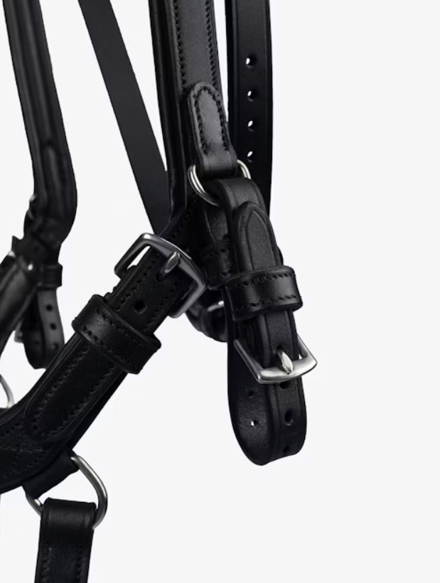 'King Edward' Bridle - Black
