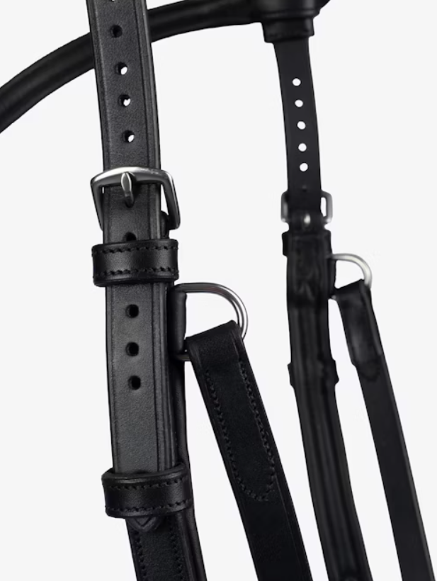 'King Edward' Bridle - Black