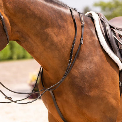 Fixed Martingale - Brown