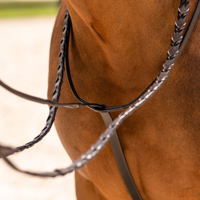 Fixed Martingale - Brown