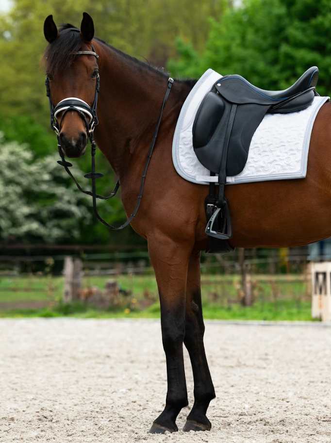 Dressage Crystal Satin - Blanc