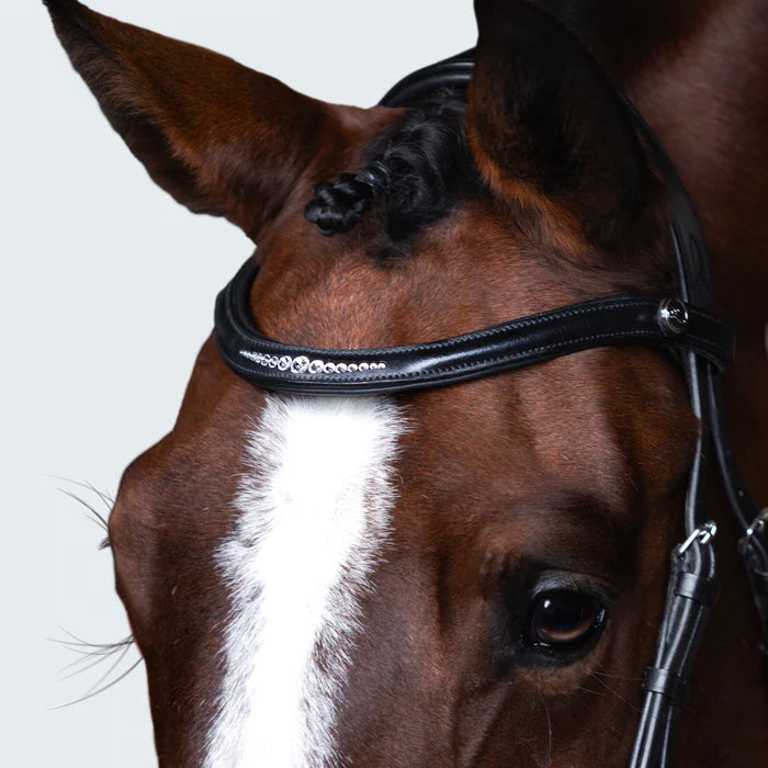 Frontal Stella - noir