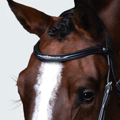 Frontal Stella - noir