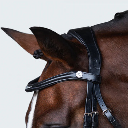 Frontal Stella - noir