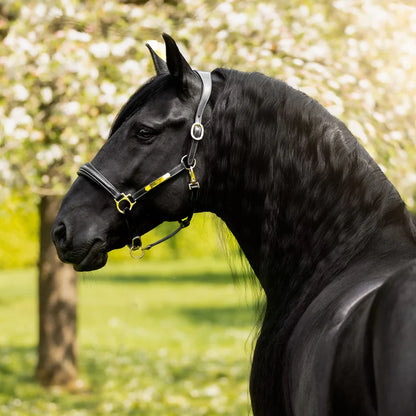Halter 'Bella' - Black