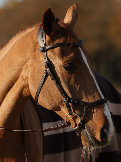 'King Edward' Bridle - Brown